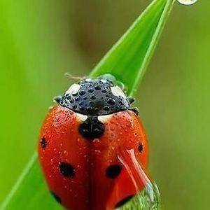 Meet your Posher, Michele